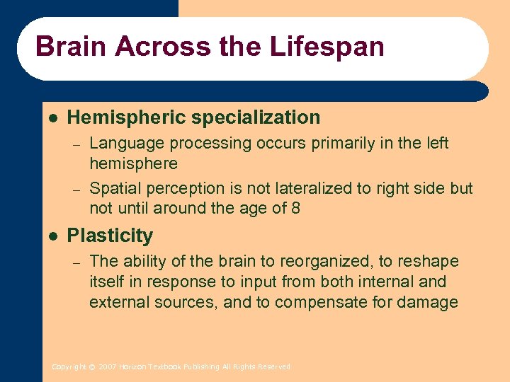 Brain Across the Lifespan l Hemispheric specialization – – l Language processing occurs primarily