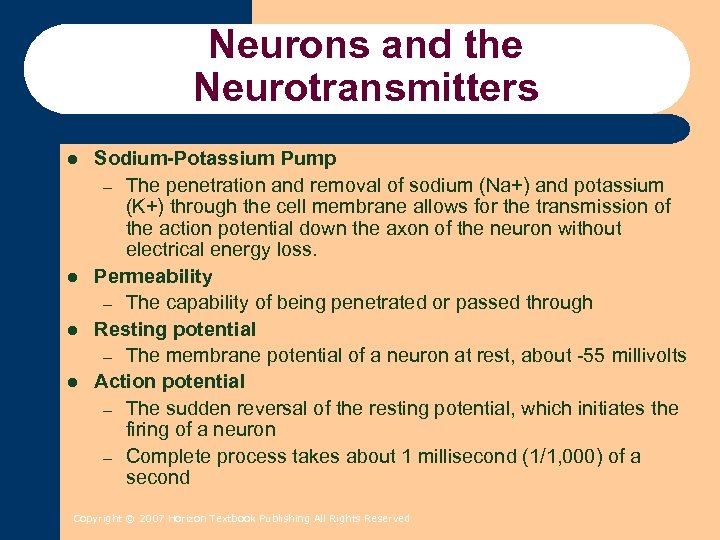Neurons and the Neurotransmitters l l Sodium-Potassium Pump – The penetration and removal of