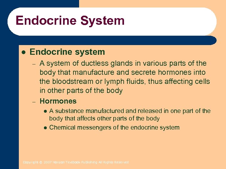 Endocrine System l Endocrine system – – A system of ductless glands in various
