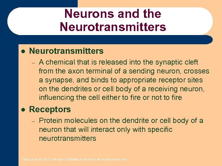 Neurons and the Neurotransmitters l Neurotransmitters – l A chemical that is released into