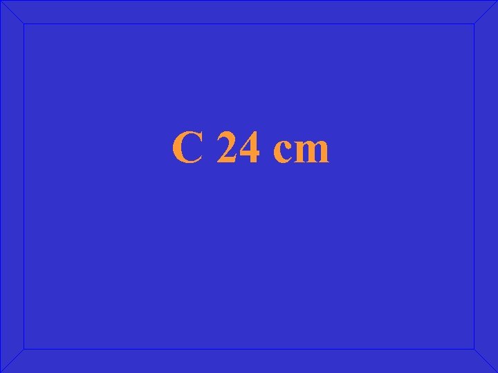 C 24 cm 
