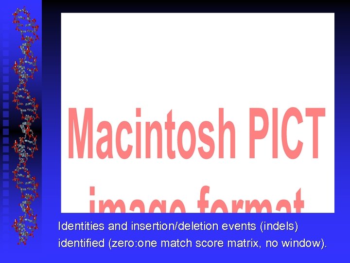 Identities and insertion/deletion events (indels) identified (zero: one match score matrix, no window). 