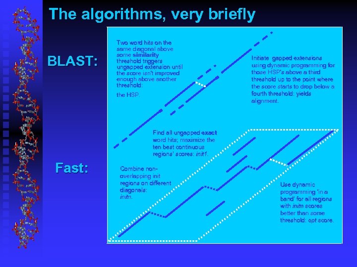 The algorithms, very briefly BLAST: Two word hits on the same diagonal above some