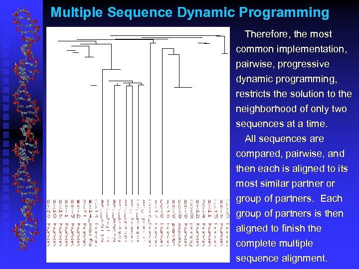 Multiple Sequence Dynamic Programming Therefore, the most common implementation, pairwise, progressive dynamic programming, restricts