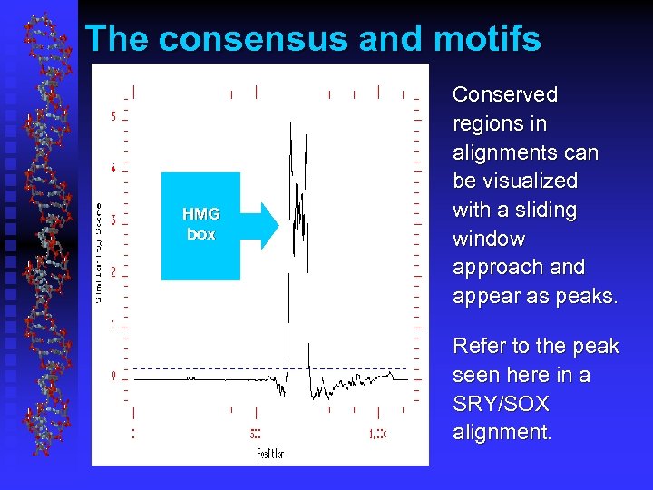 The consensus and motifs HMG box Conserved regions in alignments can be visualized with