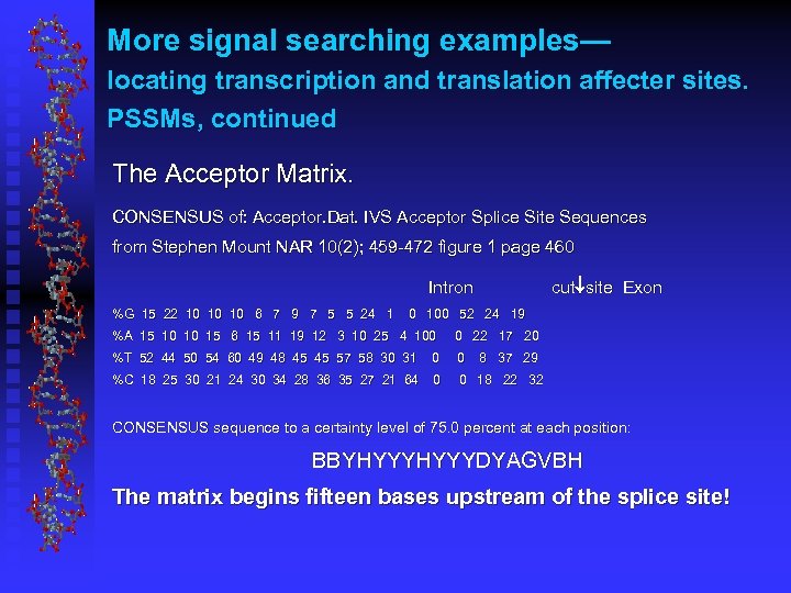 More signal searching examples— locating transcription and translation affecter sites. PSSMs, continued The Acceptor