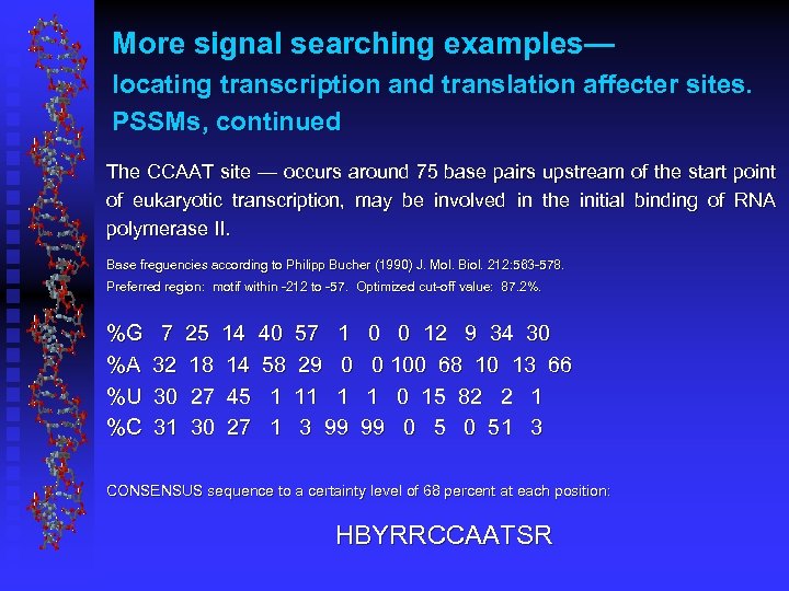 More signal searching examples— locating transcription and translation affecter sites. PSSMs, continued The CCAAT