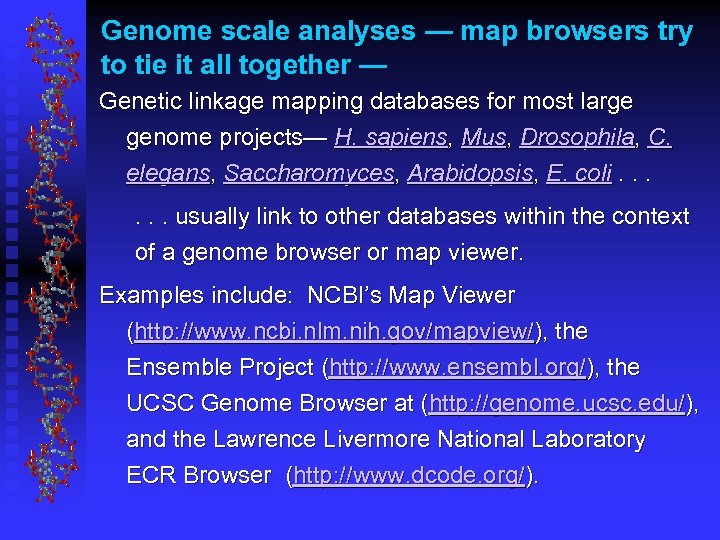 Genome scale analyses — map browsers try to tie it all together — Genetic