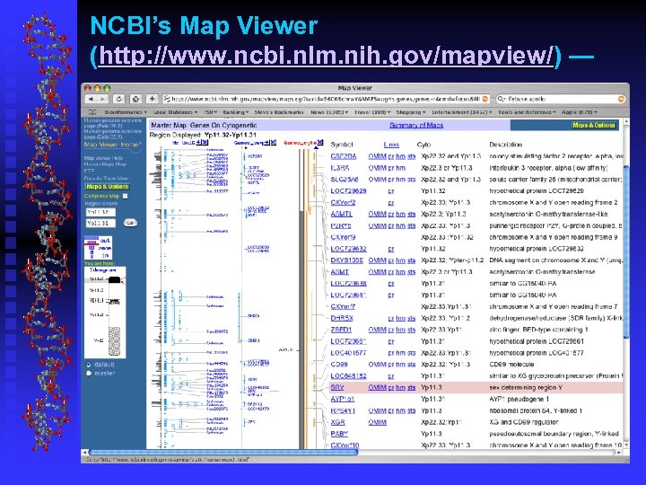 NCBI’s Map Viewer (http: //www. ncbi. nlm. nih. gov/mapview/) — 