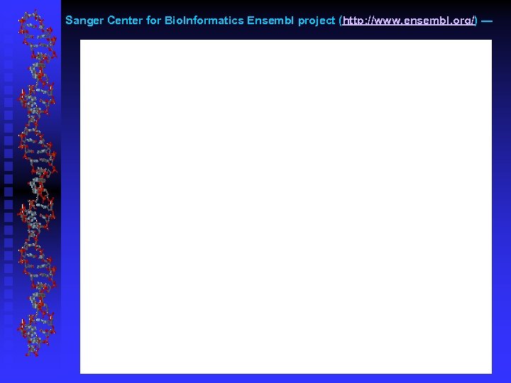 Sanger Center for Bio. Informatics Ensembl project (http: //www. ensembl. org/) — 