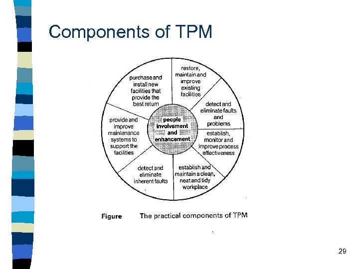 Components of TPM 29 