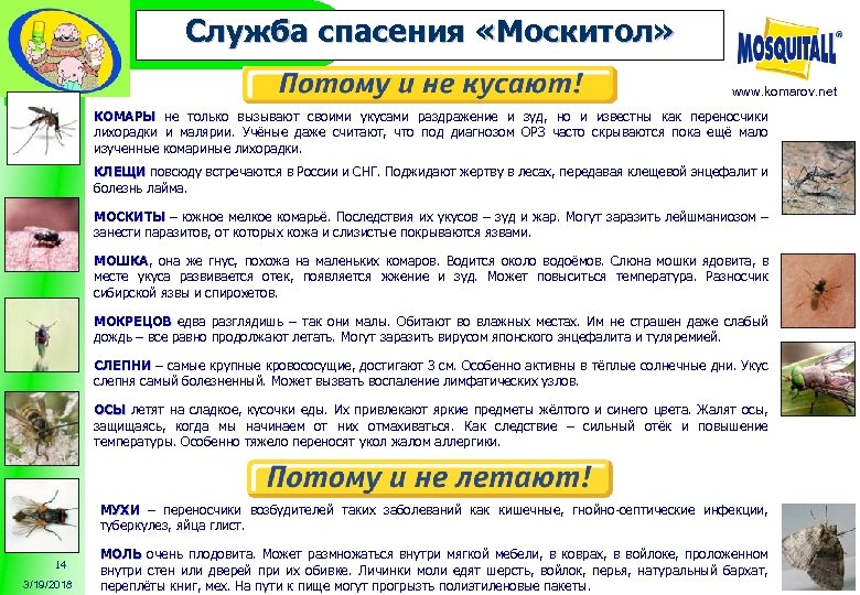 Служба спасения «Москитол» www. komarov. net КОМАРЫ не только вызывают своими укусами раздражение и