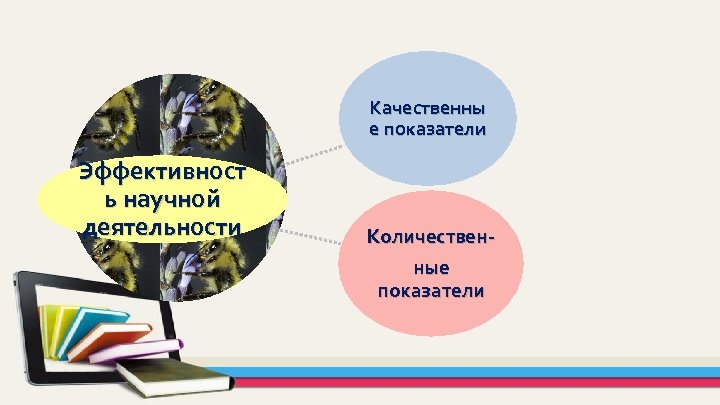 Качественны е показатели Эффективност ь научной деятельности Количественные показатели 