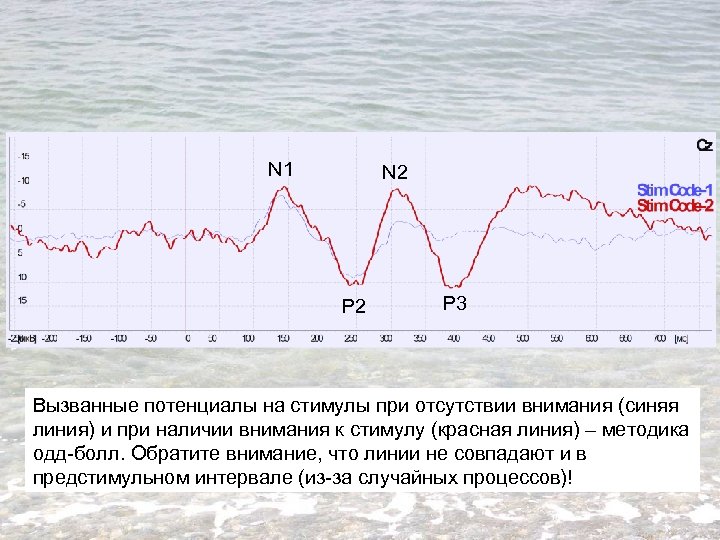 N 1 N 2 P 3 Вызванные потенциалы на стимулы при отсутствии внимания (синяя