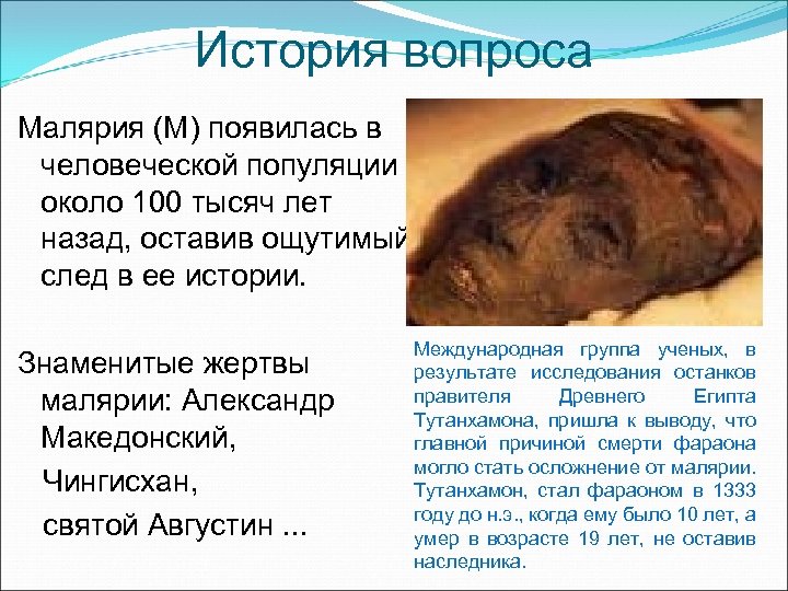 История вопроса Малярия (М) появилась в человеческой популяции около 100 тысяч лет назад, оставив