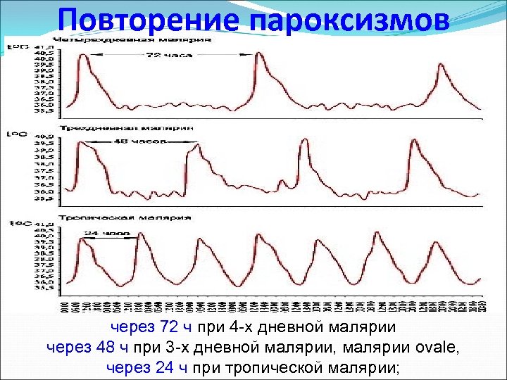 Повторение пароксизмов через 72 ч при 4 -х дневной малярии через 48 ч при