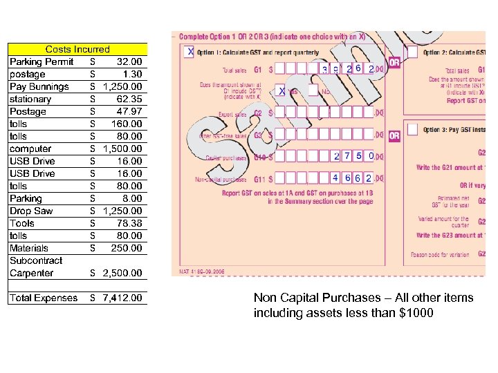 Non Capital Purchases – All other items including assets less than $1000 