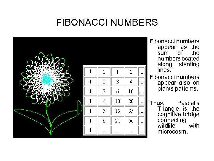FIBONACCI NUMBERS Fibonacci numbers appear as the sum of the numbers ocated l along