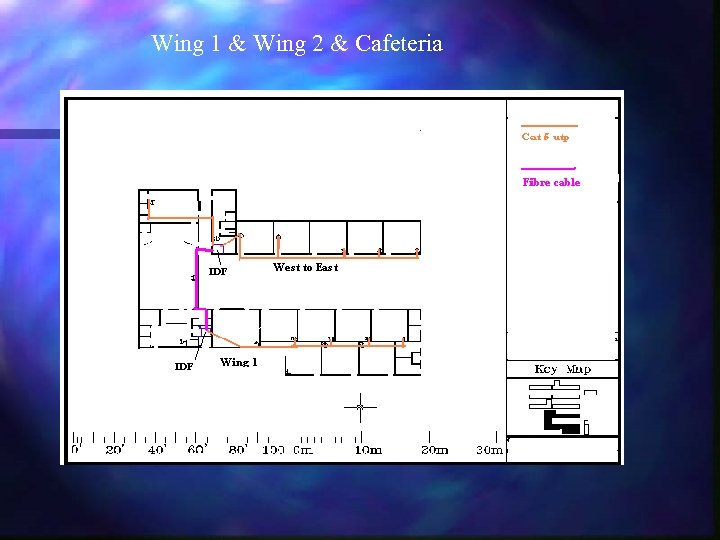 Wing 1 & Wing 2 & Cafeteria 