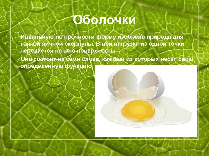Оболочки Идеальную по прочности форму изобрела природа для тонкой яичной скорлупы. В ней нагрузка