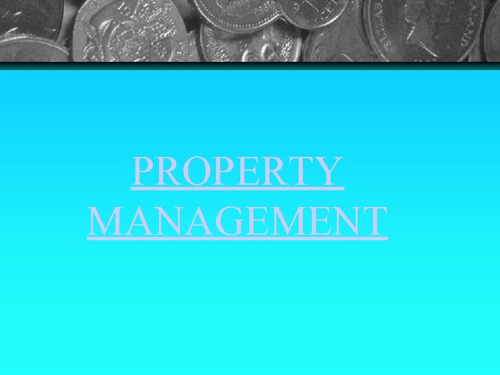 PROPERTY MANAGEMENT 