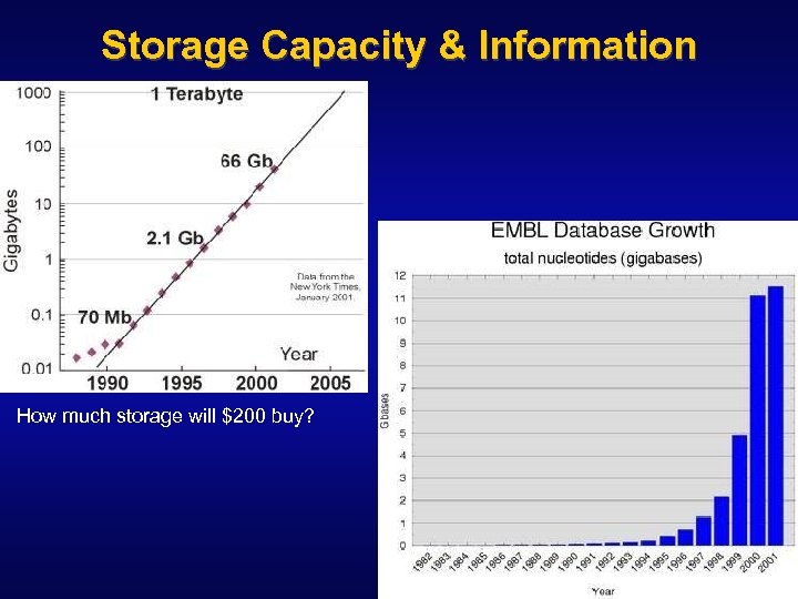 Storage Capacity & Information How much storage will $200 buy? #4 