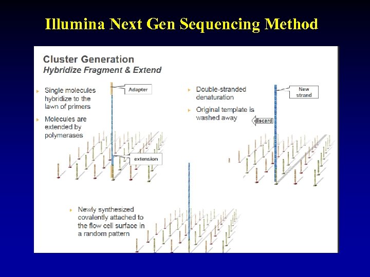 Illumina Next Gen Sequencing Method 