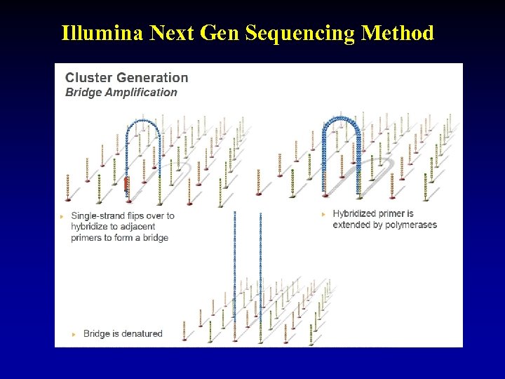 Illumina Next Gen Sequencing Method 