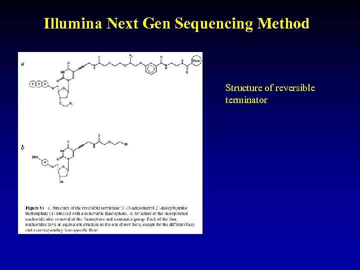 Illumina Next Gen Sequencing Method Structure of reversible terminator 