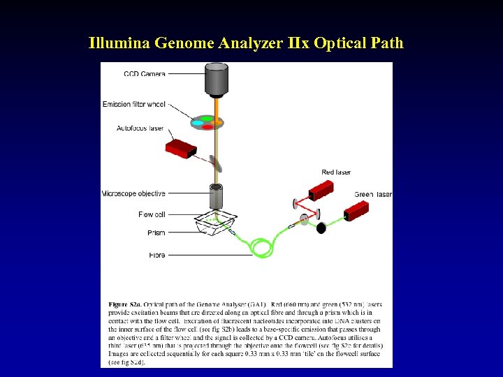 Illumina Genome Analyzer IIx Optical Path 