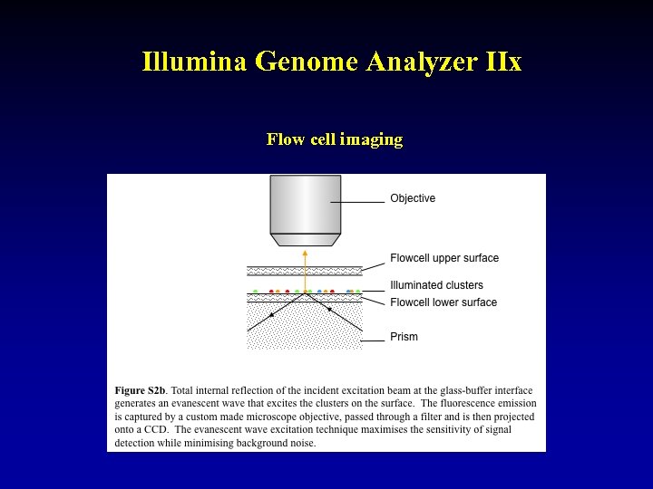 Illumina Genome Analyzer IIx Flow cell imaging 