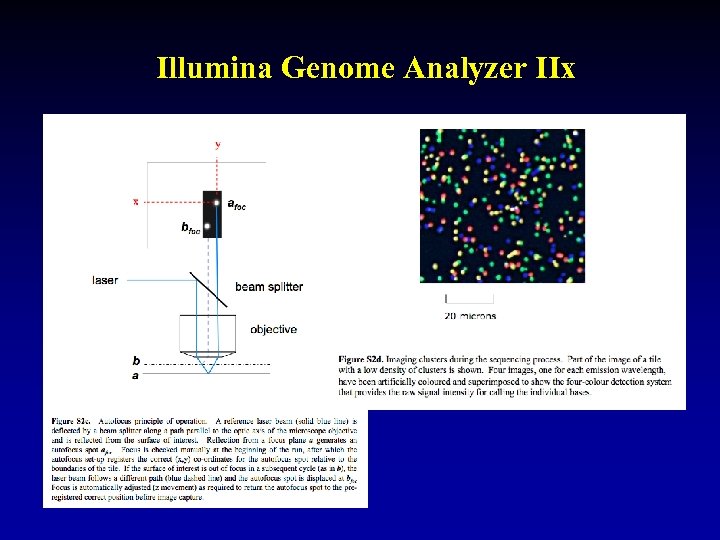 Illumina Genome Analyzer IIx 