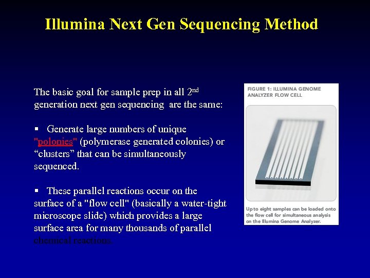 Illumina Next Gen Sequencing Method The basic goal for sample prep in all 2