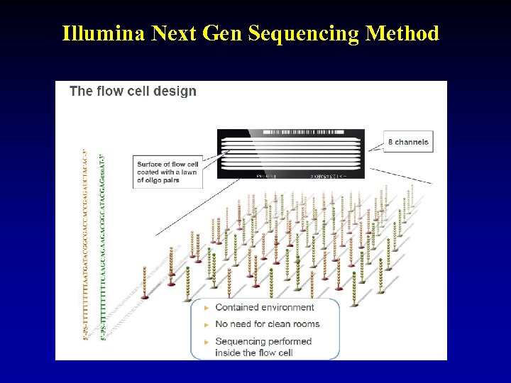 Illumina Next Gen Sequencing Method 