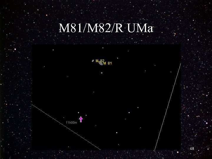 M 81/M 82/R UMa 48 