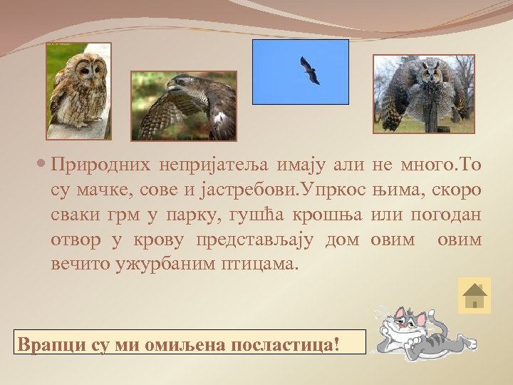  Природних непријатеља имају али не много. То су мачке, сове и јастребови. Упркос