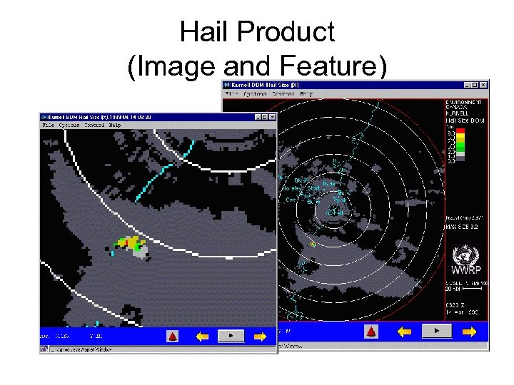 Hail Product (Image and Feature) 