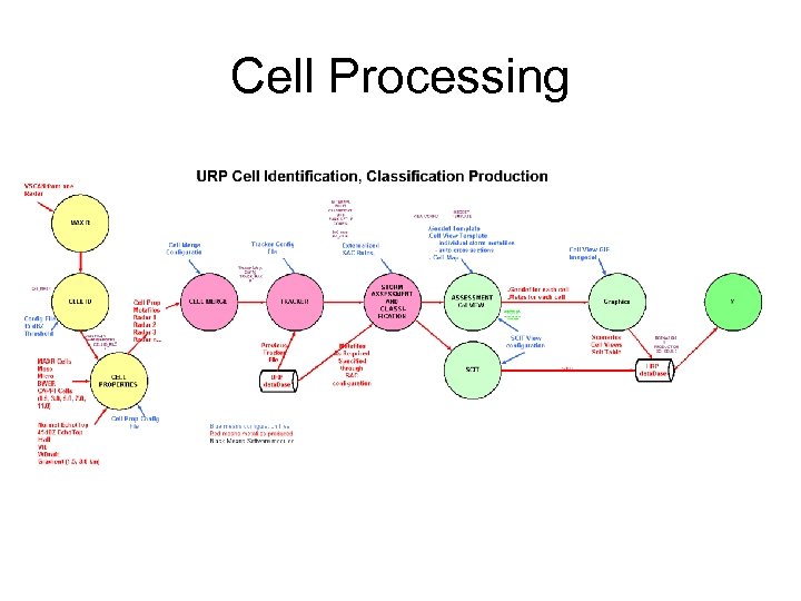 Cell Processing 