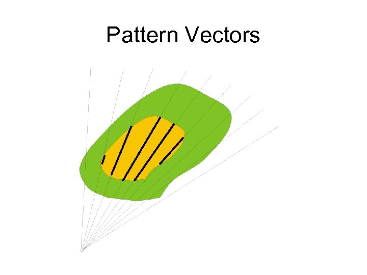 Pattern Vectors 
