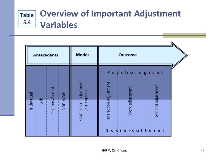 Table 5. 4 Overview of Important Adjustment Variables IHRM, Dr. N. Yang 41 