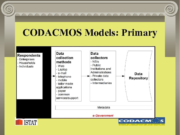 CODACMOS Models: Primary 