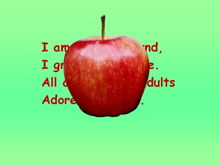 I am red and round, I grow on the tree. All children and adults