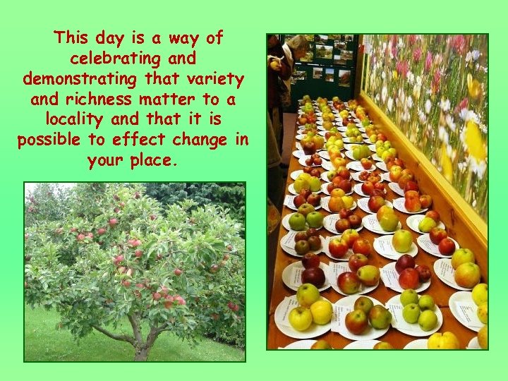 This day is a way of celebrating and demonstrating that variety and richness matter