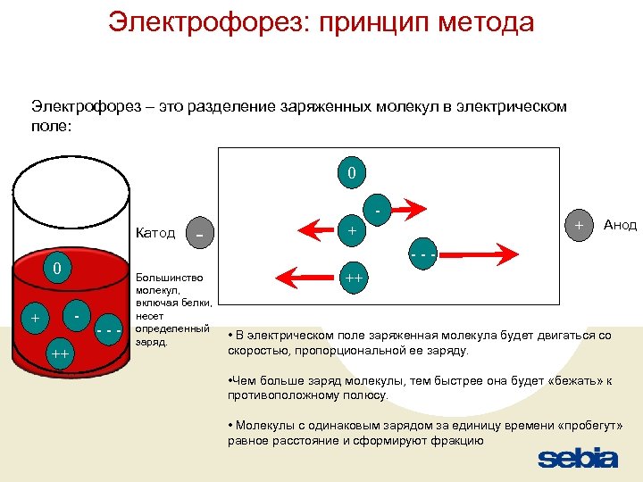 Капиллярный электрофорез презентация