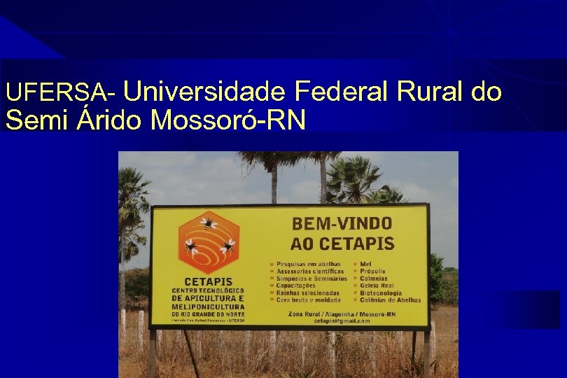 UFERSA- Universidade Federal Rural do Semi Árido Mossoró-RN 