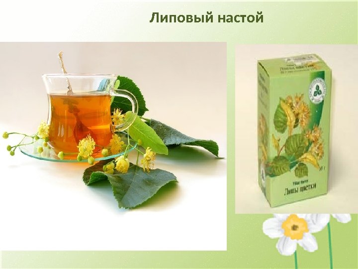 Липовый настой 