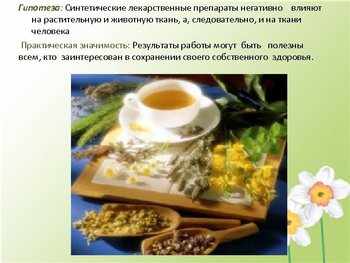 Гипотеза: Синтетические лекарственные препараты негативно влияют на растительную и животную ткань, а, следовательно, и