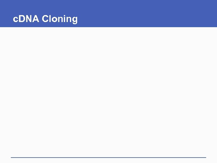 c. DNA Cloning 