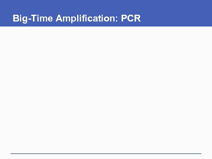 Big-Time Amplification: PCR 