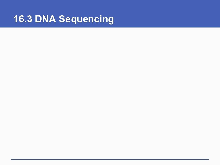 16. 3 DNA Sequencing 